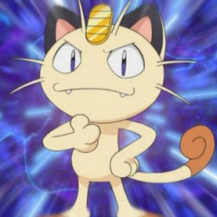 wildmeowth