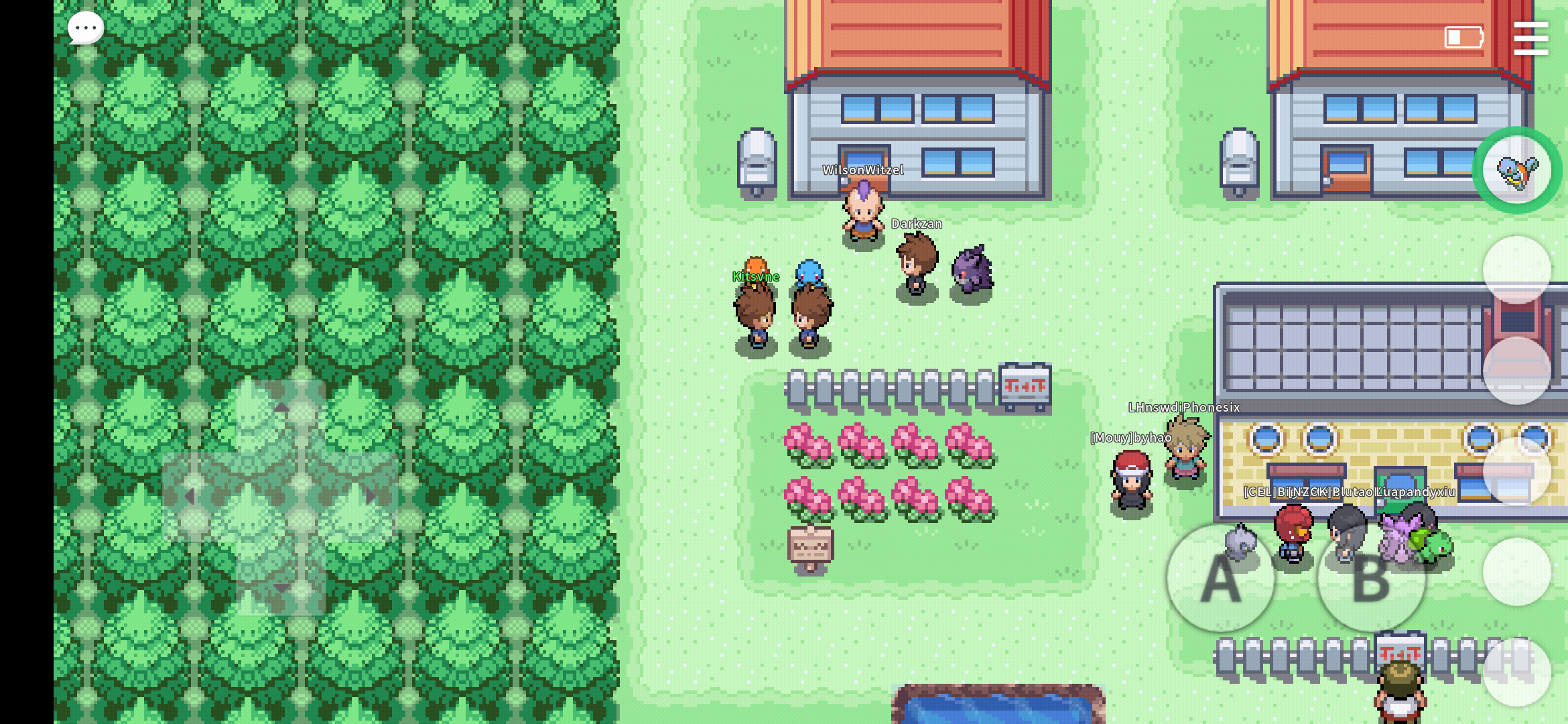 Pokemmo Johto Screenshot - Creative Media - PokeMMO