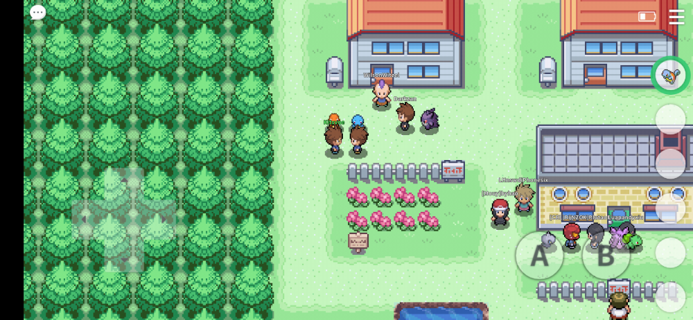 Screenshot_2020-09-05-17-46-43-550_eu.pokemmo.client.png