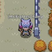 FighterChamp