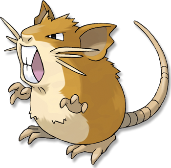 313-3139602_raticate-rattata-pokemon.png.e2411c4098db31f4f0f2f4aa70664193.png