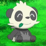PandaBrother