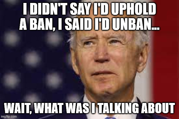 bidenwead3.jpg.06d7aa9dbe9c47a54a6a9bd7eae5ca64.jpg