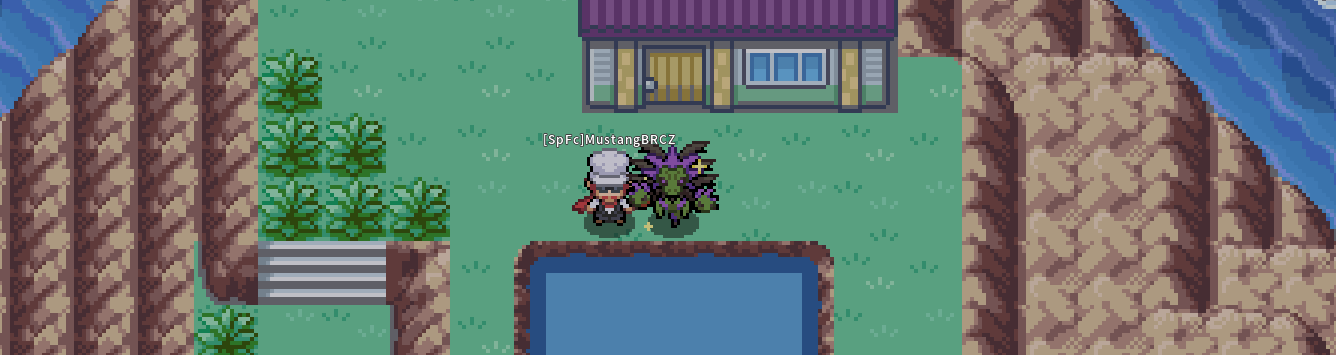 THE POKEMMO REVOLUTION - KANTO AND JOHTO - Suggestion Box - PokeMMO