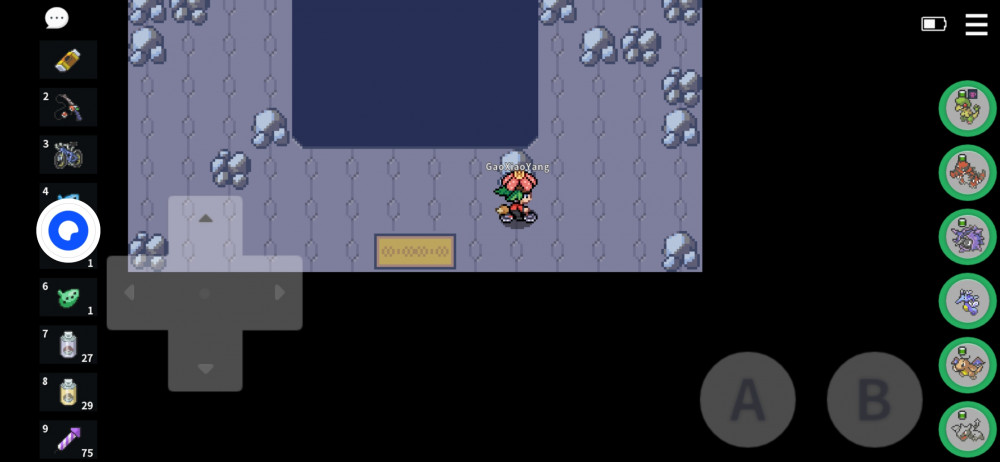 Screenshot_20220815_081318_eu.pokemmo.client.jpg