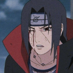 VNZItachi