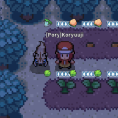 PokeMMO Item Dex (2nd Edition) - Guide Tavern - PokeMMO