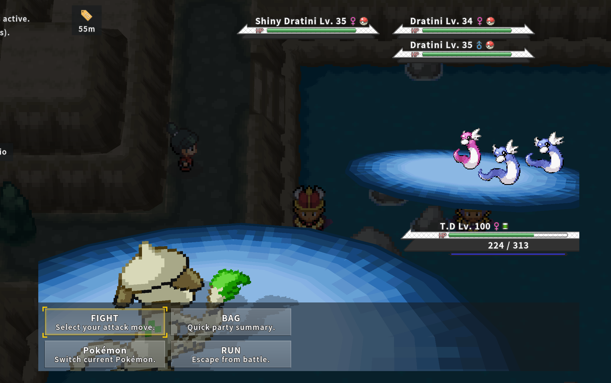 Things to Do in Pokemmo - 8 End Game Activities