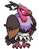 Image_98050022347381.gif