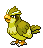 pidgey.gif