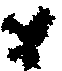 556 maractus.gif