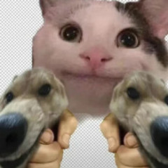 YABI