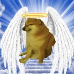 DiscoShiba